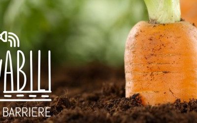 Prosegue il progetto “ColtivAbili – Orti senza barriere”, grazie alle vostre donazioni e al cofinanziamento della Fondazione CR Firenze